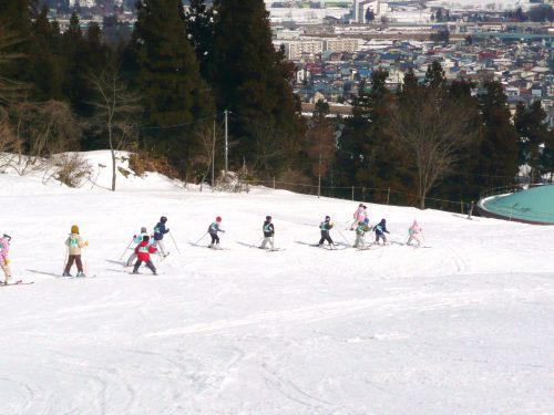 たぬきコース（初級者）