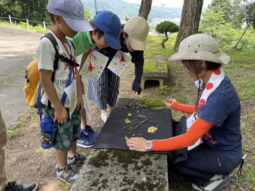 ネイチャーゲームウォーク