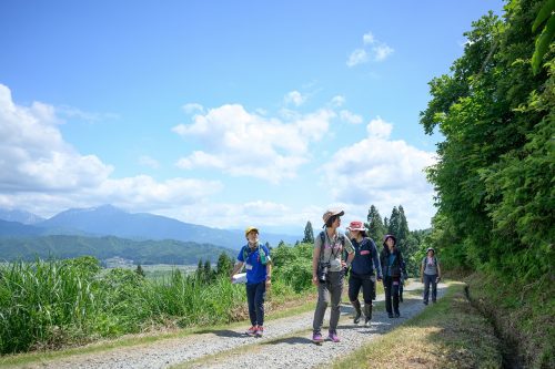 駒見山ハイキング