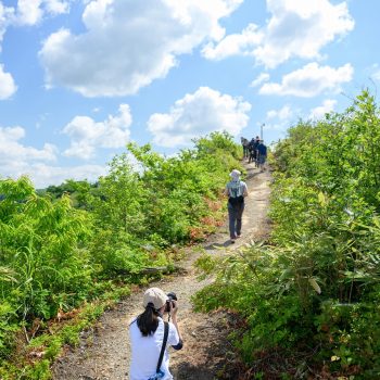 駒見山ハイキング