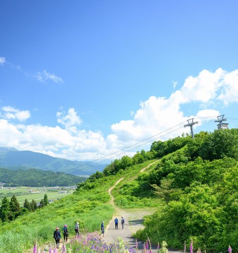 駒見山ハイキング